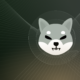 Shiba Inu Price Predictions: Varntix