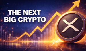 second quarter of 2026 prog