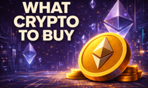 massive following and institutional-