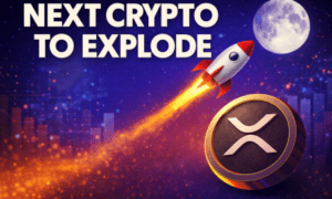 massive following and institutional-