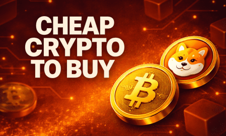 massive following and institutional-