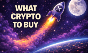 phase will see a significant price increase,