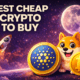 tokens like DOGE and SHIB