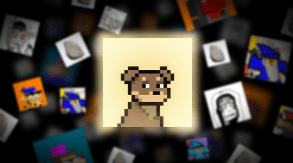 Top 10 Rarest Doginal Dogs: Bows Dominate