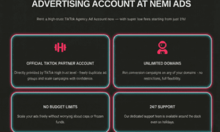 TikTok Ads account support for businesses