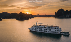 Paradise Elegance - Contemporary luxury cruise for a Halong Bay 3-day-2-night experience
