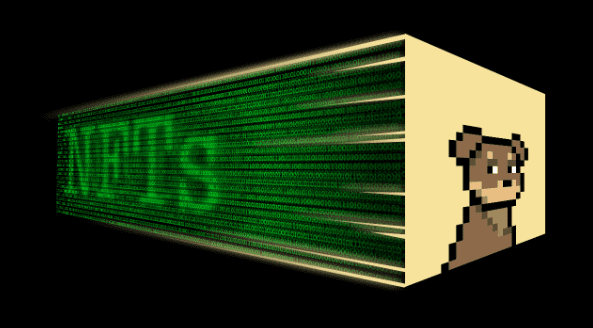 What Makes an NFT Community Last? The Doginal Dogs Model