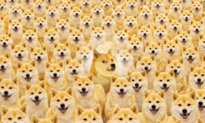 Dogecoin Community