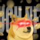 Dogecoin NFT