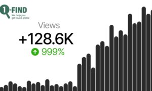 SEO Services in Johnson City