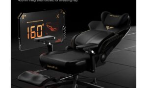 Ergonomic Gaming Chair