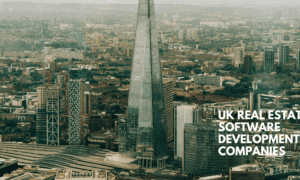 UK Real Estate Software Development Companies