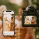 How Samaro Outperforms Competitors in Wedding Photo Sharing