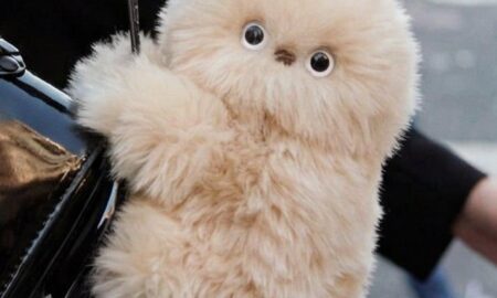 MIRUMI, the Adorable AI Companion Token, Goes Live on Indoex Exchange