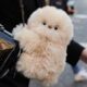 MIRUMI, the Adorable AI Companion Token, Goes Live on Indoex Exchange