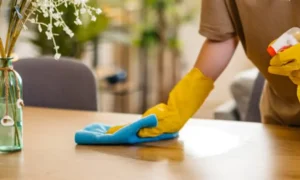 house cleaning service