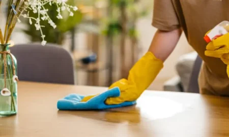 house cleaning service