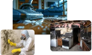 Property Damage Cleanup Makes Everything Worse in the Midwest