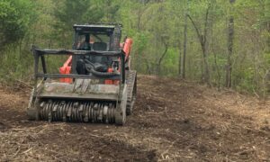 Forestry Mulching and Modern Land Management