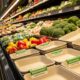 Disposable Biodegradable Veggie Trays