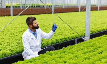 Crop Input Suppliers