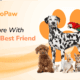 GOPAW Emerges as Hong Kong’s All-in-One Pet Lifestyle Ecosystem, Elevating Pet Ownership Experience