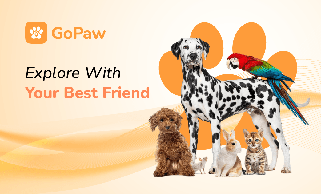 GOPAW Emerges as Hong Kong’s All-in-One Pet Lifestyle Ecosystem, Elevating Pet Ownership Experience