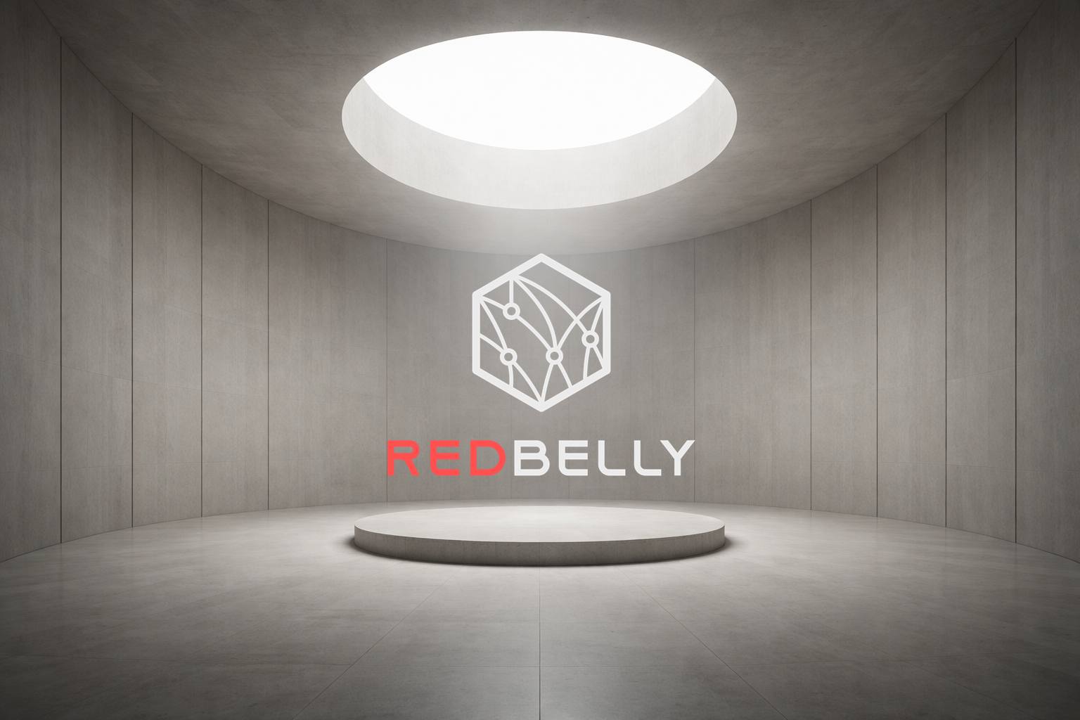 Redbelly Network and the Infrastructure Layer Australia’s New Regulatory Framework is Defining