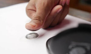 Surge in Biometric Identity Verification