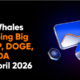 Why Whales Are Going Big on XRP, DOGE, and ADA This April 2026