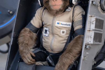 NanoRacks to Launch Yuri the Monkey on Historic Suborbital Mission