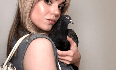 Viral Purse Pigeon “Pidge” Goes Missing in NYC: Owner Abby Jardine Shares Devastating Update on X