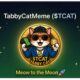 The Purr-fect Wave: How TabbyCatMeme ($TCAT) is Redefining the Meme Coin Game on Solana