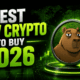Best New Crypto to Buy 2026