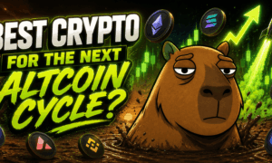 Best Crypto for the Next Altcoin Cycle