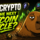 Best Crypto for the Next Altcoin Cycle