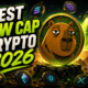 Best Low Cap Crypto 2026
