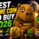 Best Meme Coin to Buy 2026