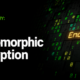 What is Fully homomorphic encryption (FHE)?