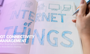 IoT Connectivity Management Platforms