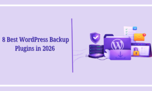 WordPress Backup Plugins in