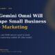 Gemini Omni