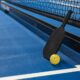 Pickleball Court