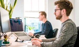 Key Roles of IT Services