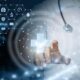 Healthcare and Insurance Transformation