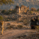 Compare Corbett and Ranthambore for a 5-Day Wildlife Photography Trip in November on a ₹50K Budget