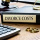 Hidden Costs of Divorce Litigation