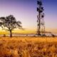 Undroppable" Network: How This African Telecom Pioneer