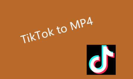 TikTok to MP4 Converter Online