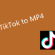 TikTok to MP4 Converter Online